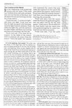 Charger l'image dans la galerie, Fire Bible ESV Version, Soft Leather-look, Slate/Charcoal
